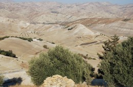 Estudio de acceso carretero y evaluacion costes de ejecucion de caminos Parque Taza (Marruecos)